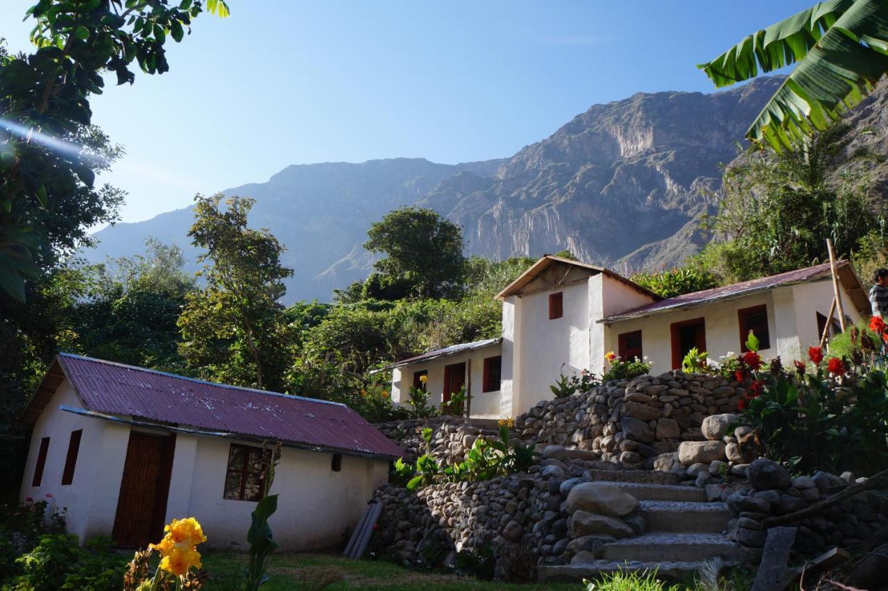 Paraiso Las Palmeras Lodge Кабанаконде Номер фото